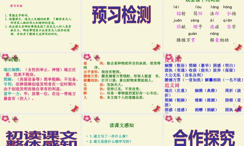 五年级语文下册 第3单元 14《居里夫人的三克镭》课件2 语文S版-语文S版小学五年级下册语文课件