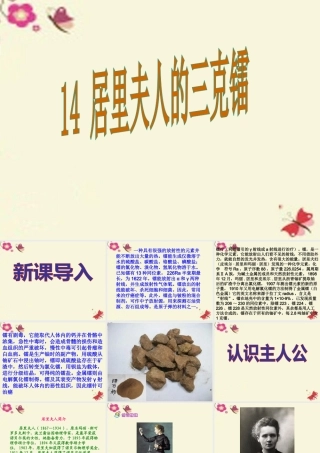 五年级语文下册 第3单元 14《居里夫人的三克镭》课件2 语文S版-语文S版小学五年级下册语文课件