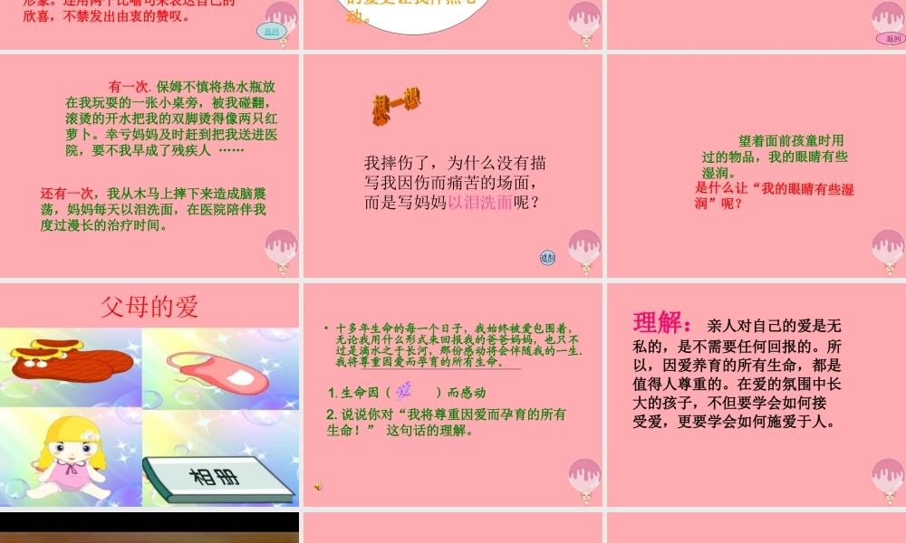 五年级语文上册 第六单元 生命的感动课件4 湘教版-湘教版小学五年级上册语文课件