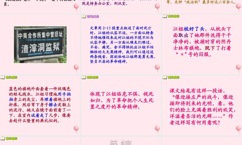 五年级语文下册 第七单元 第27课《江姐》课件 西师大版-西师大版小学五年级下册语文课件