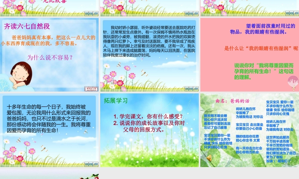 五年级语文上册 第六单元 生命的感动课件5 湘教版-湘教版小学五年级上册语文课件