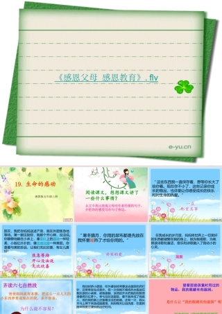 五年级语文上册 第六单元 生命的感动课件5 湘教版-湘教版小学五年级上册语文课件