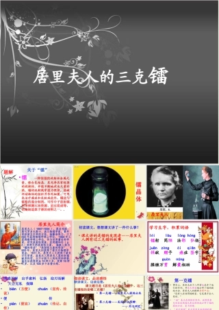 五年级语文下册 第3单元 14《居里夫人的三克镭》课件4 语文S版-语文S版小学五年级下册语文课件