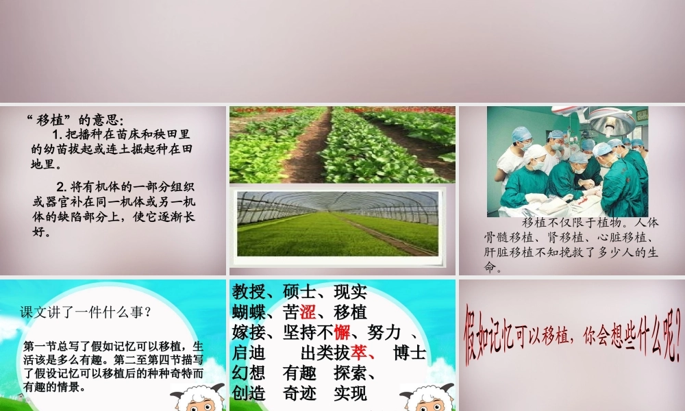 五年级语文上册《假如记忆可以移植》课件1 语文A版-语文A版小学五年级上册语文课件