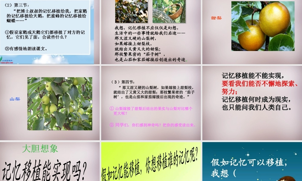 五年级语文上册《假如记忆可以移植》课件1 语文A版-语文A版小学五年级上册语文课件