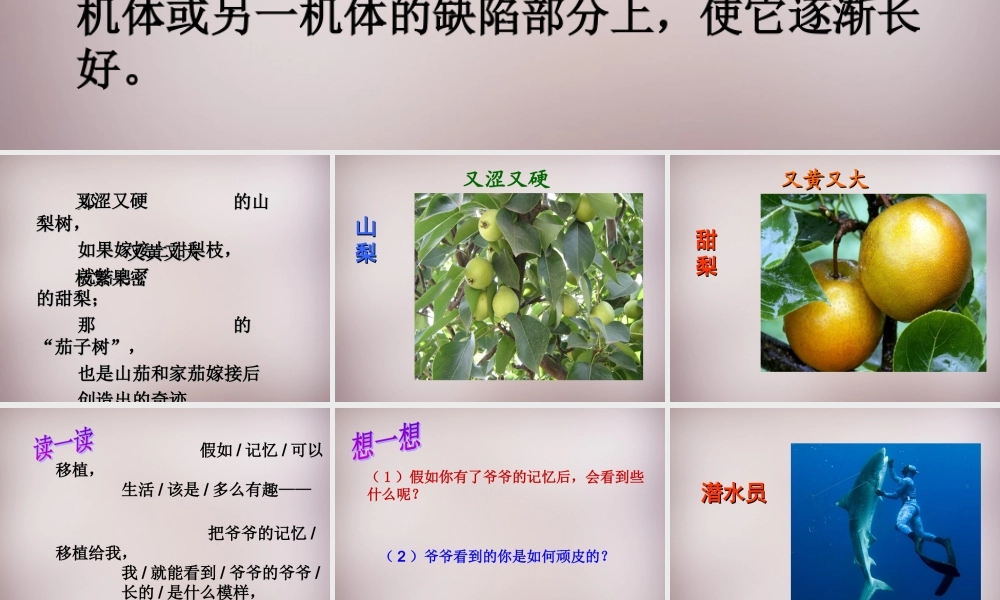 五年级语文上册《假如记忆可以移植》课件2 语文A版-语文A版小学五年级上册语文课件