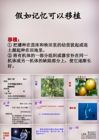 五年级语文上册《假如记忆可以移植》课件2 语文A版-语文A版小学五年级上册语文课件