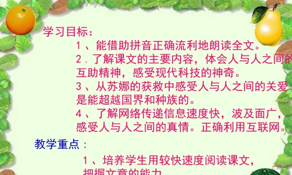 五年级语文上册 第六单元 网上呼救课件2 西师大版-西师大版小学五年级上册语文课件