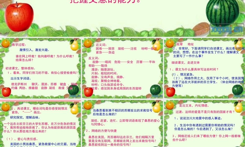 五年级语文上册 第六单元 网上呼救课件2 西师大版-西师大版小学五年级上册语文课件