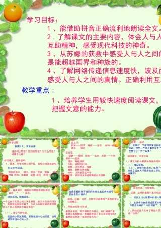 五年级语文上册 第六单元 网上呼救课件2 西师大版-西师大版小学五年级上册语文课件