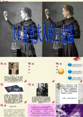 五年级语文下册 第3单元 14《居里夫人的三克镭》课件6 语文S版-语文S版小学五年级下册语文课件