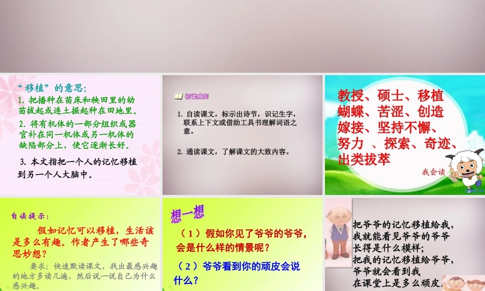 五年级语文上册《假如记忆可以移植》课件3 语文A版-语文A版小学五年级上册语文课件
