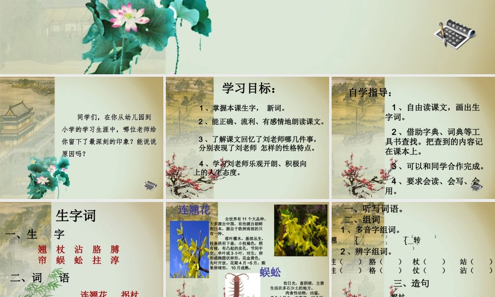 五年级语文上册 第六单元 我的老师课件2 西师大版-西师大版小学五年级上册语文课件