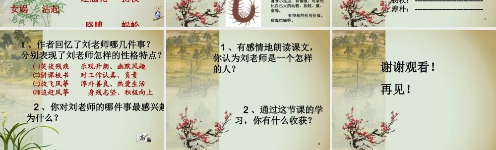 五年级语文上册 第六单元 我的老师课件2 西师大版-西师大版小学五年级上册语文课件