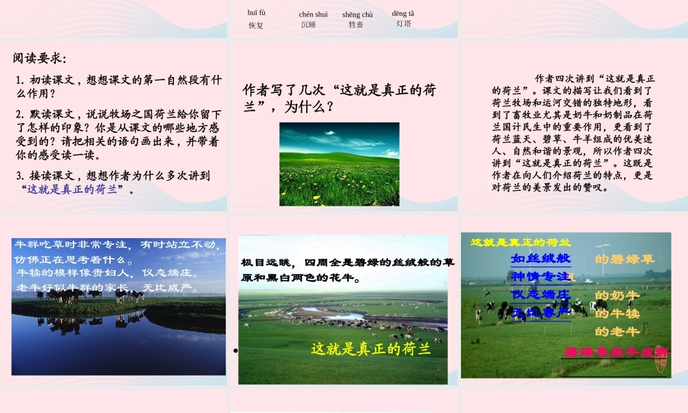 五年级语文下册 第七单元 19 牧场之国教学课件 新人教版-新人教版小学五年级下册语文课件