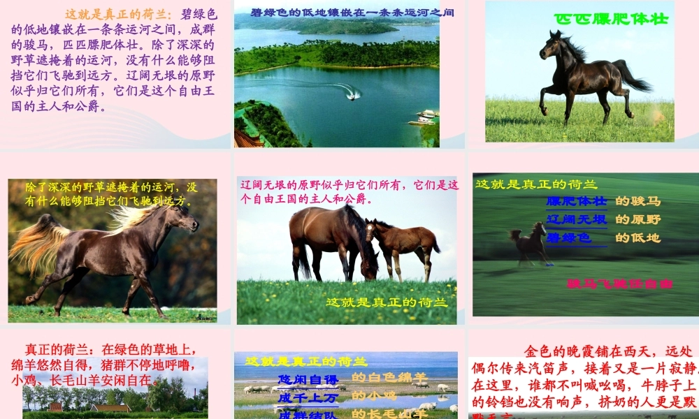 五年级语文下册 第七单元 19 牧场之国教学课件 新人教版-新人教版小学五年级下册语文课件