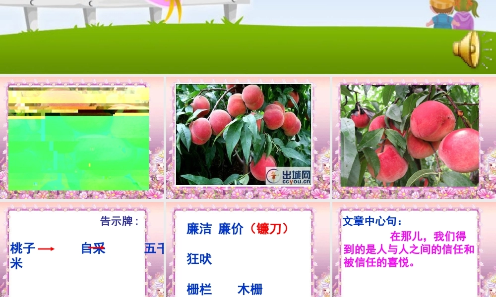 五年级语文上册 第六单元 信任课件2 西师大版-西师大版小学五年级上册语文课件