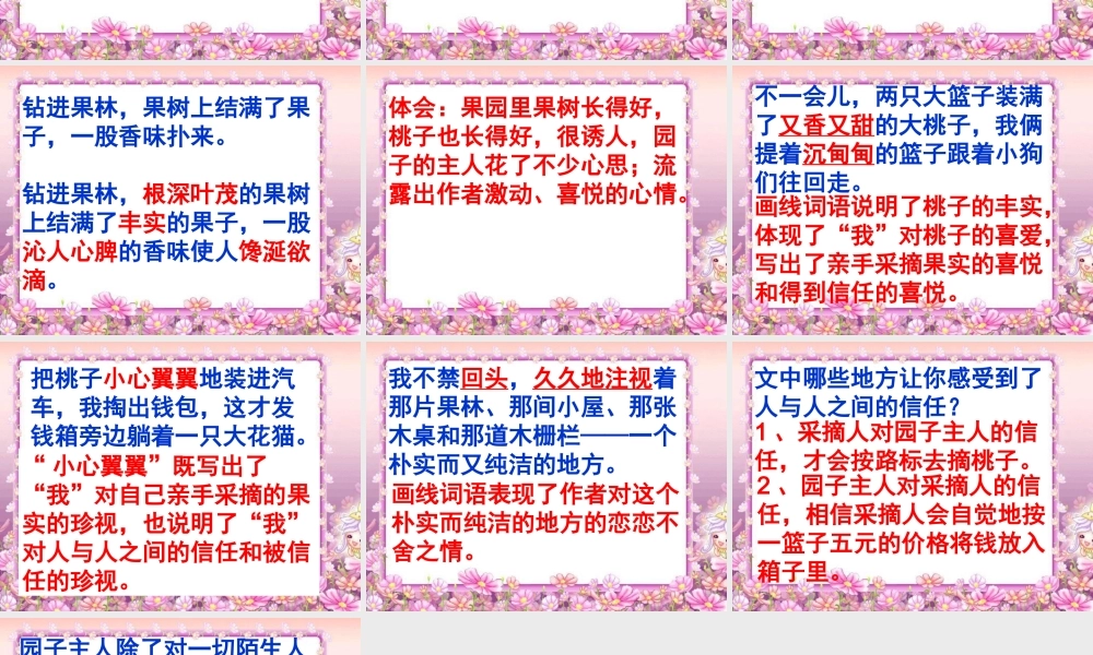 五年级语文上册 第六单元 信任课件2 西师大版-西师大版小学五年级上册语文课件