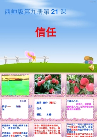 五年级语文上册 第六单元 信任课件2 西师大版-西师大版小学五年级上册语文课件