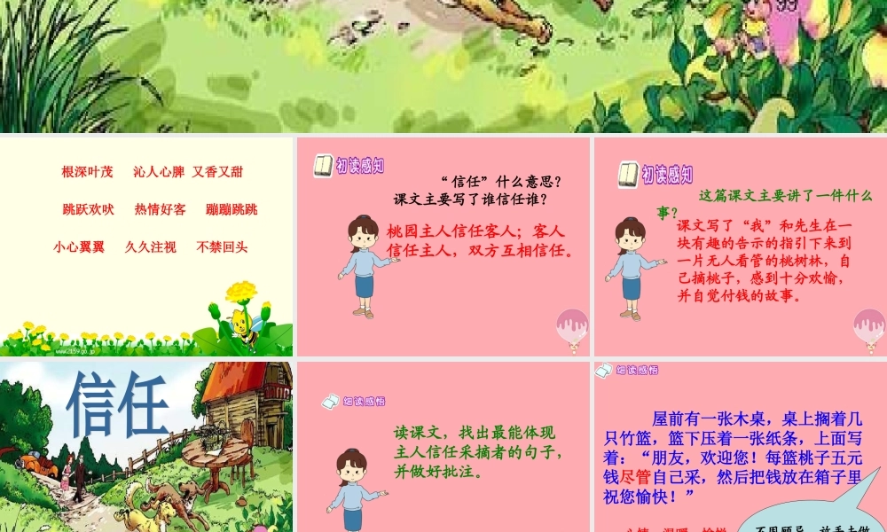 五年级语文上册 第六单元 信任课件3 西师大版-西师大版小学五年级上册语文课件