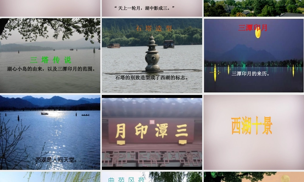 五年级语文上册《美丽的“三潭印月”》课件1 语文A版-语文A版小学五年级上册语文课件