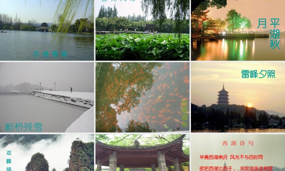 五年级语文上册《美丽的“三潭印月”》课件1 语文A版-语文A版小学五年级上册语文课件