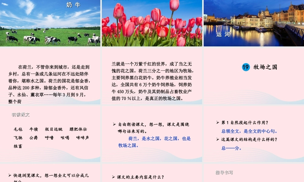 五年级语文下册 第七单元 19 牧场之国配套课件 新人教版-新人教版小学五年级下册语文课件