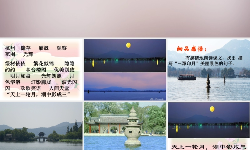 五年级语文上册《美丽的“三潭印月”》课件3 语文A版-语文A版小学五年级上册语文课件