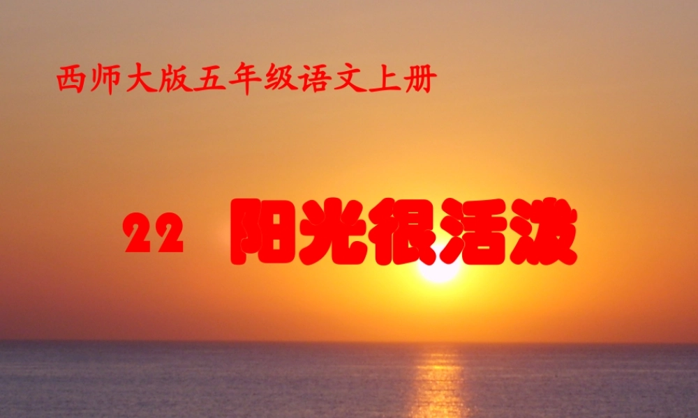 五年级语文上册 第六单元 阳光很活泼课件1 西师大版-西师大版小学五年级上册语文课件