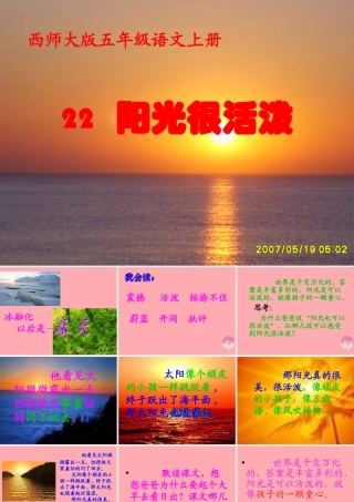 五年级语文上册 第六单元 阳光很活泼课件1 西师大版-西师大版小学五年级上册语文课件
