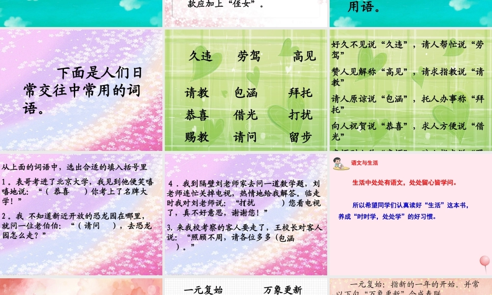 五年级语文下册 第七单元练习课件 苏教版-苏教版小学五年级下册语文课件