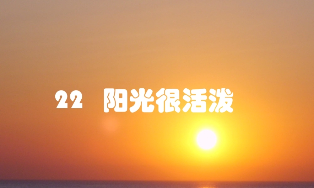 五年级语文上册 第六单元 阳光很活泼课件3 西师大版-西师大版小学五年级上册语文课件