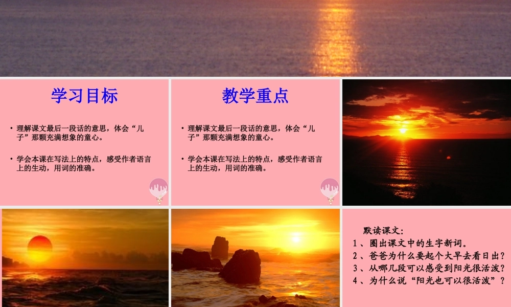 五年级语文上册 第六单元 阳光很活泼课件3 西师大版-西师大版小学五年级上册语文课件