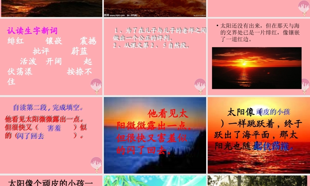 五年级语文上册 第六单元 阳光很活泼课件3 西师大版-西师大版小学五年级上册语文课件