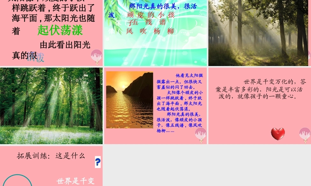 五年级语文上册 第六单元 阳光很活泼课件3 西师大版-西师大版小学五年级上册语文课件