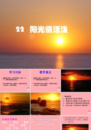 五年级语文上册 第六单元 阳光很活泼课件3 西师大版-西师大版小学五年级上册语文课件