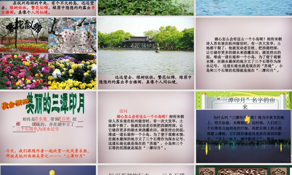 五年级语文上册《美丽的“三潭印月”》课件5 语文A版-语文A版小学五年级上册语文课件
