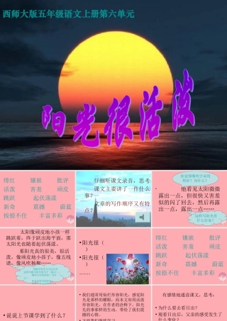 五年级语文上册 第六单元 阳光很活泼课件4 西师大版-西师大版小学五年级上册语文课件
