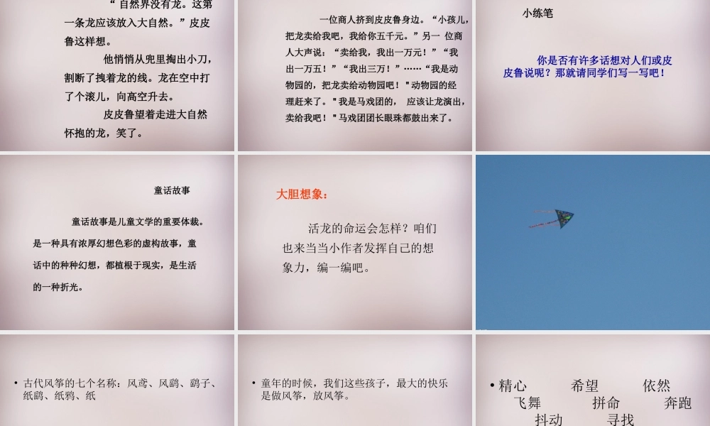 五年级语文上册《皮皮鲁的风筝》课件1 语文A版-语文A版小学五年级上册语文课件