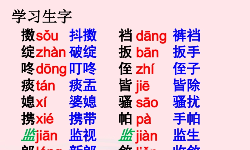 五年级语文下册 第七组 22 人物描写一组教学课件 新人教版-新人教版小学五年级下册语文课件
