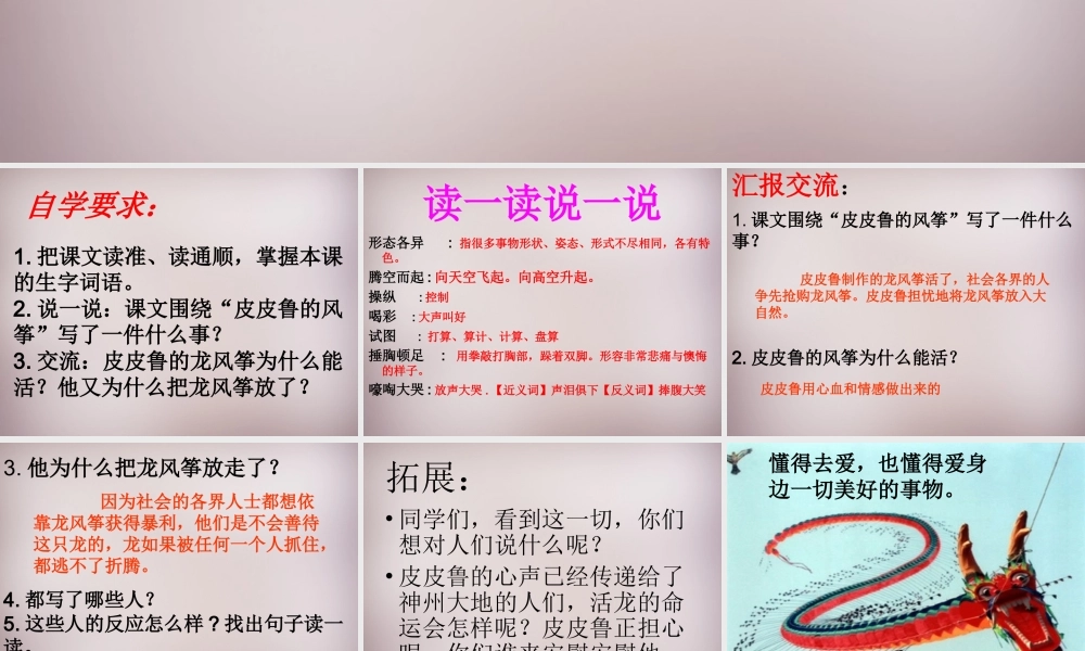 五年级语文上册《皮皮鲁的风筝》课件2 语文A版-语文A版小学五年级上册语文课件