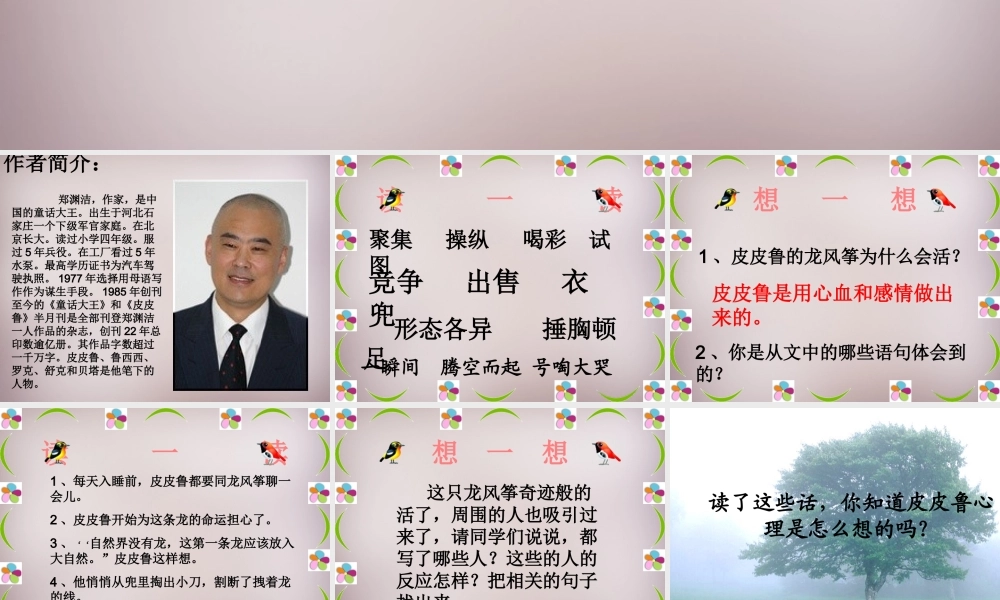 五年级语文上册《皮皮鲁的风筝》课件3 语文A版-语文A版小学五年级上册语文课件