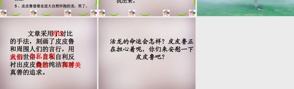 五年级语文上册《皮皮鲁的风筝》课件3 语文A版-语文A版小学五年级上册语文课件