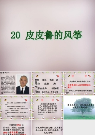 五年级语文上册《皮皮鲁的风筝》课件3 语文A版-语文A版小学五年级上册语文课件