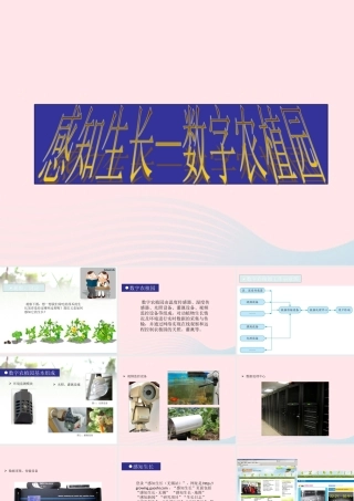 六年级信息技术上册 第13课《感知生长——数字农植》课件 苏科版-苏科版小学六年级上册信息技术课件