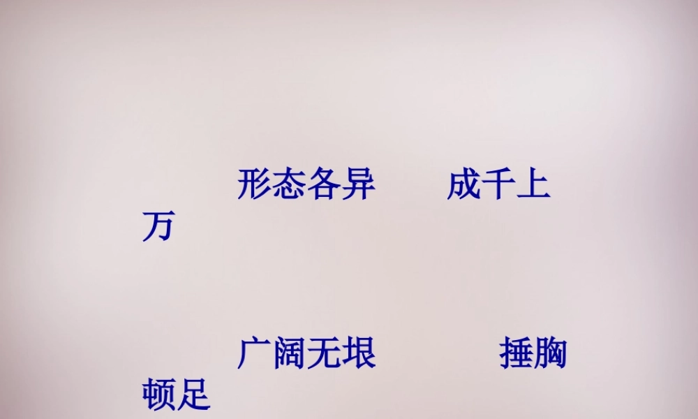 五年级语文上册《皮皮鲁的风筝》课件4 语文A版-语文A版小学五年级上册语文课件