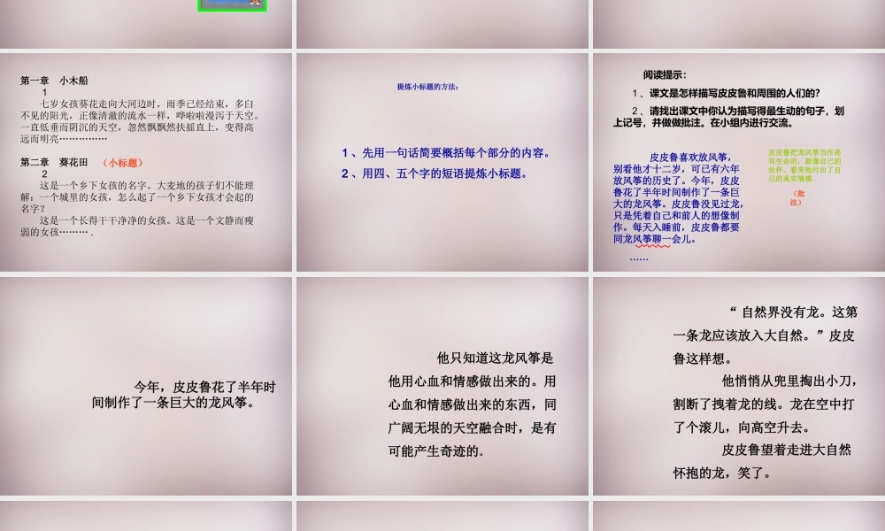 五年级语文上册《皮皮鲁的风筝》课件4 语文A版-语文A版小学五年级上册语文课件