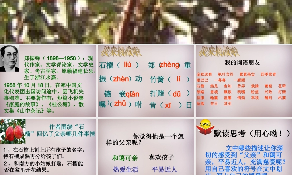 五年级语文上册《石榴又红了》课件1 语文A版-语文A版小学五年级上册语文课件