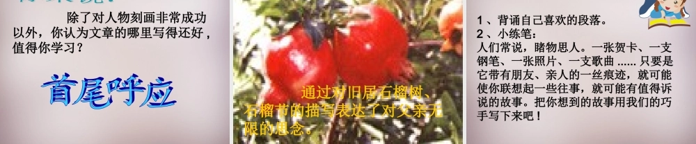 五年级语文上册《石榴又红了》课件1 语文A版-语文A版小学五年级上册语文课件