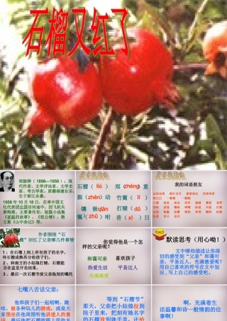 五年级语文上册《石榴又红了》课件1 语文A版-语文A版小学五年级上册语文课件
